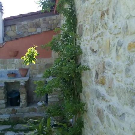 Rustico Zagara Apartment Buseto Palizzolo Luaran gambar